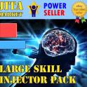 Large Skill Injector = JitaMarket = Minimum Order x10 = Extremely Fast = Maximum Safe =