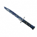 ★ Bayonet | Bright Water (Well-Worn)