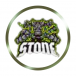 StoneSolid - avatar